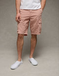 AE 12" Flex Lived-In Cargo Short - Rose