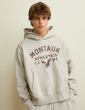 AE Laidback Luxe Graphic Hoodie - Heather Frost