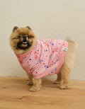 ABO Snoopy 4th of July Dog Sweater - Red
