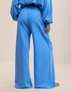 Aerie Street Trouser - Rome Blue