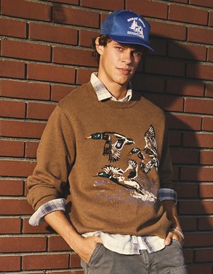 AE Graphic Crew Neck Sweater - Brown