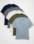 AE Standard Fit Lived-In T-Shirt 5-Pack - Multi