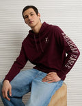 AE Standard Fit Lightweight Logo Graphic Hoodie T-Shirt - Burgundy
