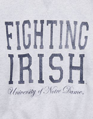 Notre Dame Fighting Irish OFFLINE By Aerie Crewneck - Light Faded Gray