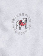 Georgia Bulldogs OFFLINE By Aerie Crewneck - Light Heather Gray