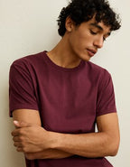 AE Slim Fit Lived-In T-Shirt - Burgundy